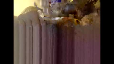 Snapshot of bigdaddydongarlets391292 chatting on 12/04/25, 11:30 bigdaddydongarlets391292 online show from 12/04/25, 11:30