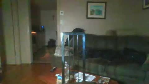 Snapshot of bigdeer581917471 chatting on 02/01/25, 08:08 bigdeer581917471 online show from 02/01/25, 08:08