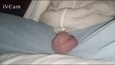 Big online show from 02/02/25, 04:05