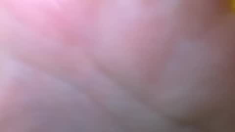 Snapshot of bigdickitalian137 chatting on 09/29/25, 08:35 bigdickitalian137 online show from 09/29/25, 08:35