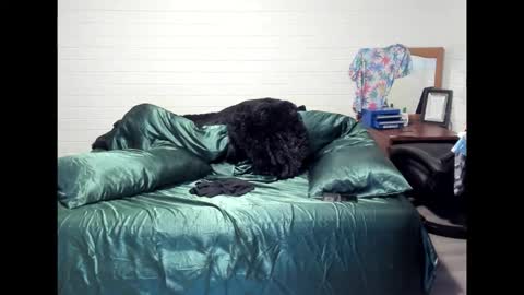 bigdickpiercedtattoos online show from 10/22/25, 10:15