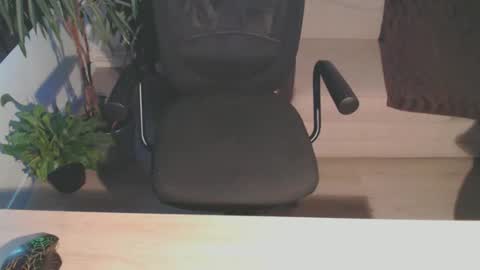 Snapshot of bigdutchenergy chatting on 12/16/25, 01:27 BigDutchEnergy online show from 12/16/25, 01:27