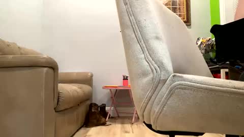 bigeddie88 online show from 09/23/25, 11:52