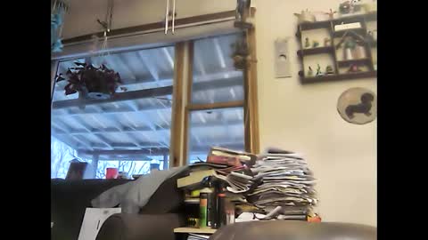 Snapshot of bigelectricrod chatting on 01/05/25, 12:31 bigelectricrod online show from 01/05/25, 12:31