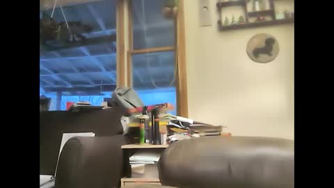 Snapshot of bigelectricrod chatting on 02/01/25, 11:54 bigelectricrod online show from 02/01/25, 11:54