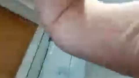 biggllh online show from 07/04/26, 02:01