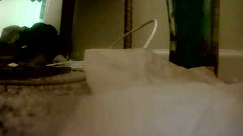 Snapshot of bigguypete1999 chatting on 11/16/25, 01:55 Peter Paul online show from 11/16/25, 01:55