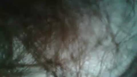 daddy online show from 01/05/25, 04:48