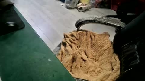 bigpeepdude online show from 06/14/26, 04:42