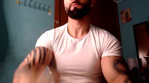 BigStallion online show from 02/08/25, 12:06