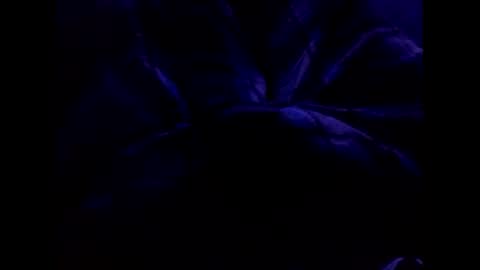 Snapshot of bigtgs chatting on 02/17/25, 06:37 bigtgs online show from 02/17/25, 06:37