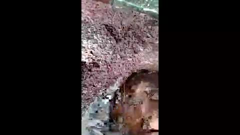 Snapshot of bigwalkdog420 chatting on 12/25/24, 02:56 bigwalkdog420 online show from 12/25/24, 02:56