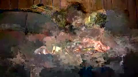 bigwytecock1979 online show from 12/11/24, 07:31