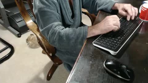 Snapshot of billy471 chatting on 12/10/24, 11:32 billy471 online show from 12/10/24, 11:32