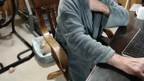 Snapshot of billy471 chatting on 12/03/25, 11:52 billy471 online show from 12/03/25, 11:52