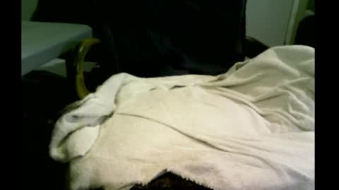 Snapshot of bimale4hotphuk chatting on 02/20/25, 09:44 bimale4hotphuk online show from 02/20/25, 09:44