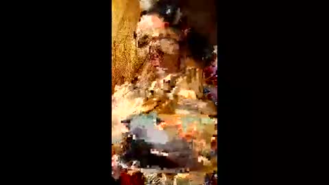bina241986 online show from 06/10/26, 05:01