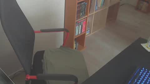 BigDick online show from 12/30/24, 09:48