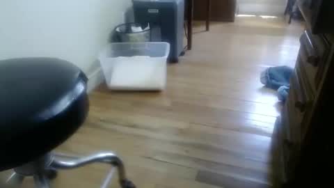 bitexan69 online show from 09/30/25, 05:07