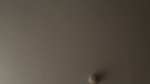 Snapshot of bithereum_sky chatting on 11/12/25, 08:08 bithereum_sky online show from 11/12/25, 08:08