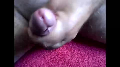 Snapshot of blabla78000 chatting on 09/15/25, 06:46 blabla78000 online show from 09/15/25, 06:46