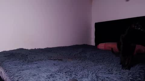 black_firex online show from 10/06/25, 04:59