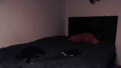 black_firex online show from 10/08/25, 09:34