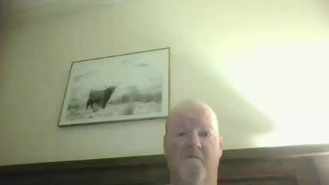 black_n_white4 online show from 02/24/26, 08:51