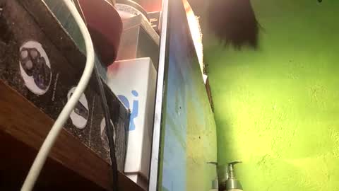 Snapshot of blackasiancockts chatting on 11/13/25, 02:49 Crystal online show from 11/13/25, 02:49