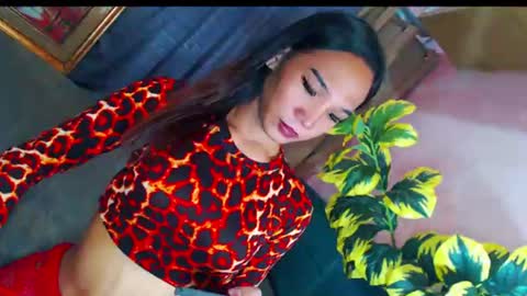 blackbarbie_jamie online show from 07/29/26, 05:55