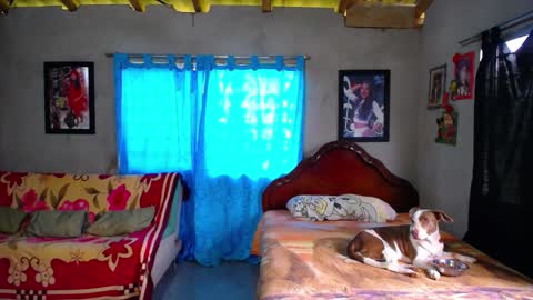 Snapshot of blackpanter_13 chatting on 12/18/25, 01:39 Black Panther online show from 12/18/25, 01:39