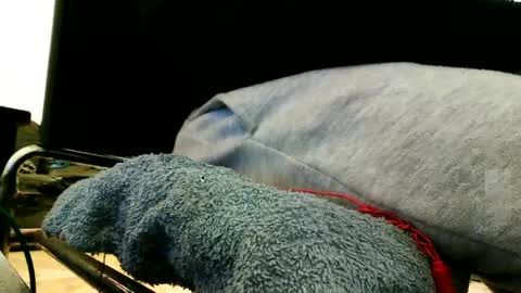 Snapshot of blackriches96 chatting on 02/21/25, 03:21 blackriches96 online show from 02/21/25, 03:21