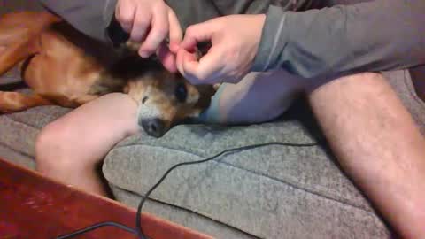 blaw_1321 online show from 12/21/24, 12:53