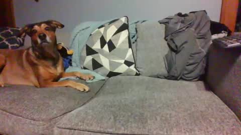 blaw_1321 online show from 01/04/25, 05:37