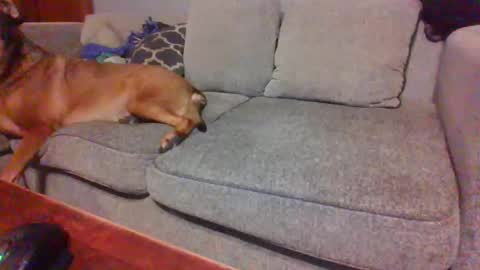 blaw_1321 online show from 11/23/25, 09:47