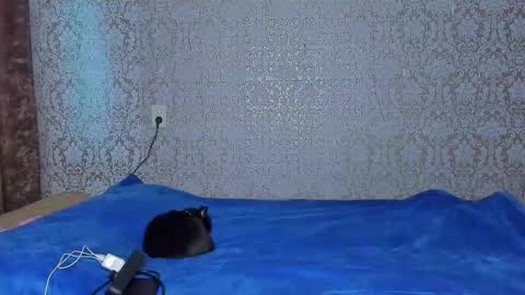 bloemetjes online show from 10/24/25, 05:04