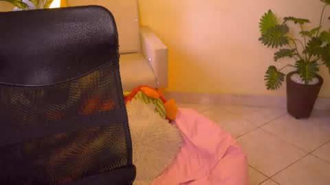 FLORAA online show from 06/13/26, 03:54