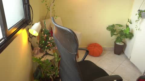 FLORAA online show from 12/23/24, 10:42