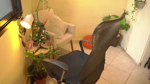 FLORAA online show from 12/24/24, 08:44