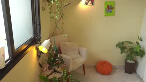 FLORAA online show from 12/24/24, 11:49