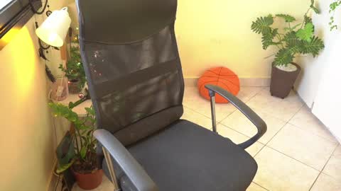 FLORAA online show from 12/25/24, 01:51