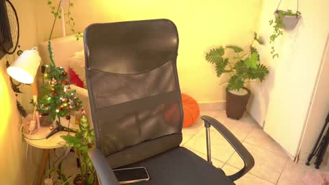 FLORAA online show from 12/26/24, 08:21