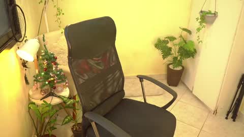 FLORAA online show from 12/27/24, 08:28
