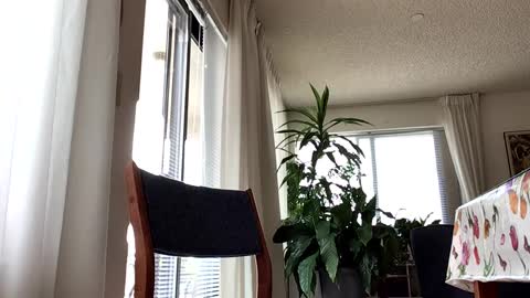 Snapshot of blueyedudeseattle chatting on 09/21/25, 06:42 Blueyedudeseattle online show from 09/21/25, 06:42