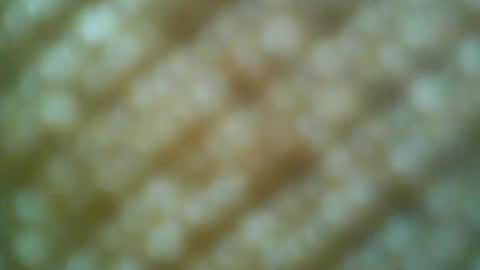Motto Motto online show from 05/31/26, 06:31