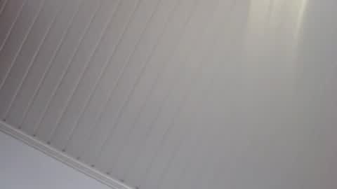 Dan online show from 06/21/26, 08:22