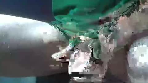 Snapshot of bogey58 chatting on 12/08/24, 02:09 bogey58 online show from 12/08/24, 02:09