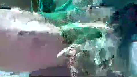 Snapshot of bogey58 chatting on 02/12/25, 04:11 bogey58 online show from 02/12/25, 04:11