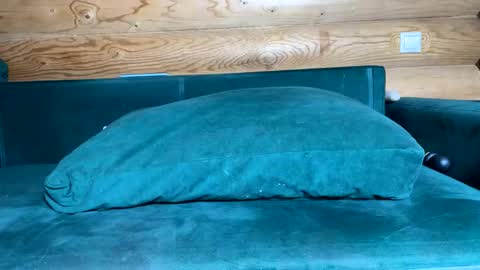 Nail and Olivia online show from 10/21/25, 09:10