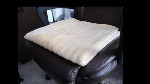 Grizz online show from 05/24/26, 10:37